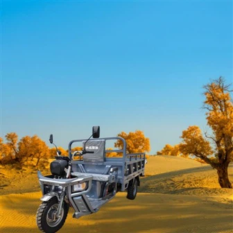 Tricycle cargo électrique léger