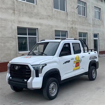 Camionnettes de passagers et de fret